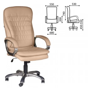 Кресло офисное BRABIX Omega EX-589 в Нюрбе - nyurba.katalogmebeli.com | фото