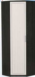 Шкаф для одежды угловой ДЛЯ ГОСТИНОЙ ШОУ-695 Венге/Дуб выбеленный в Нюрбе - nyurba.katalogmebeli.com | фото